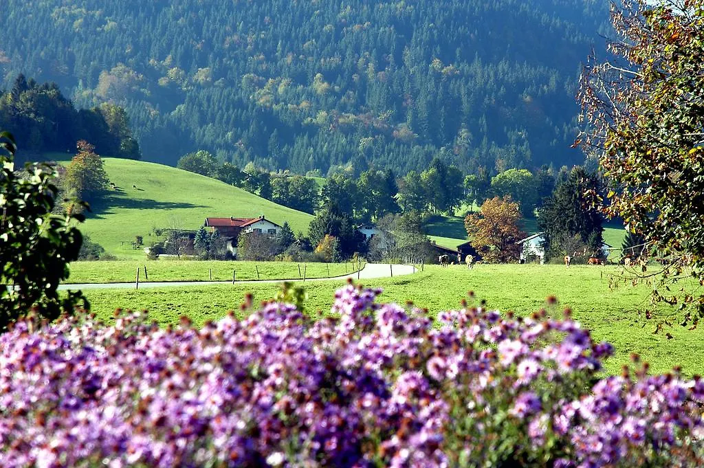 Ferienwohnungen Im Alpengaestehaus Marzoll - Bad Reichenhall 0*,